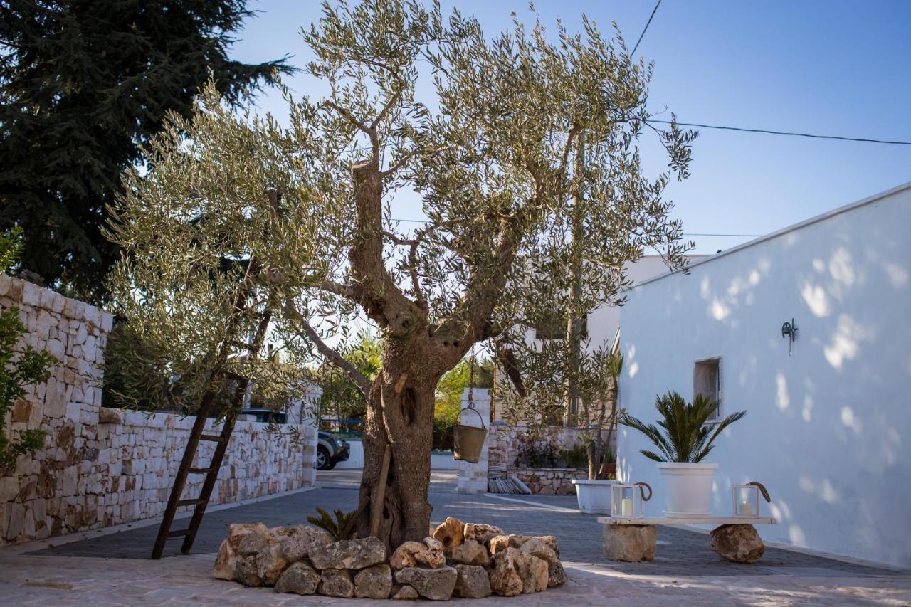 Residenze Nei Trulli Villa อัลเบโรเบลโล ภายนอก รูปภาพ